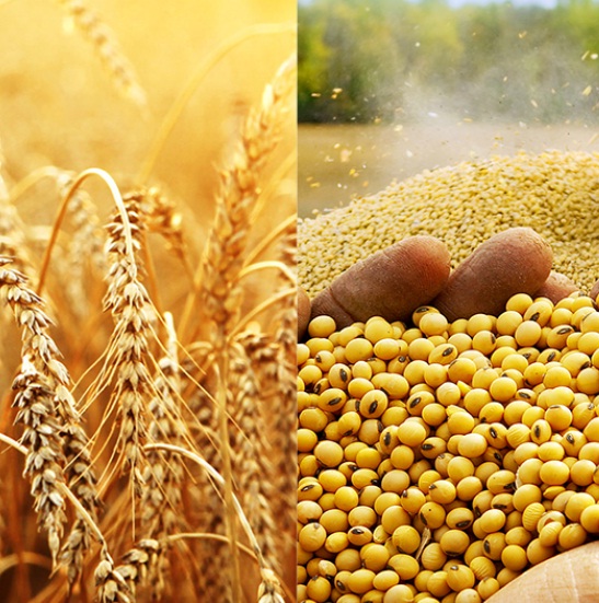 Agricultural Commodities